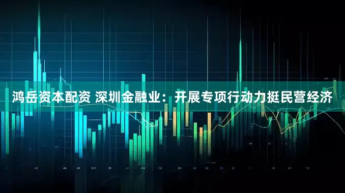 鸿岳资本配资 深圳金融业：开展专项行动力挺民营经济