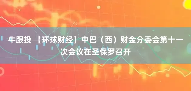 牛跟投 【环球财经】中巴(西)财金分委会第十一次会议在圣保罗召开